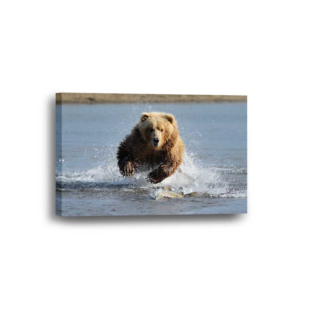 Grizzly Chase: Salmon Run Collection - Framed Canvas Home Decor Wall Art Multiple Choices of Panels