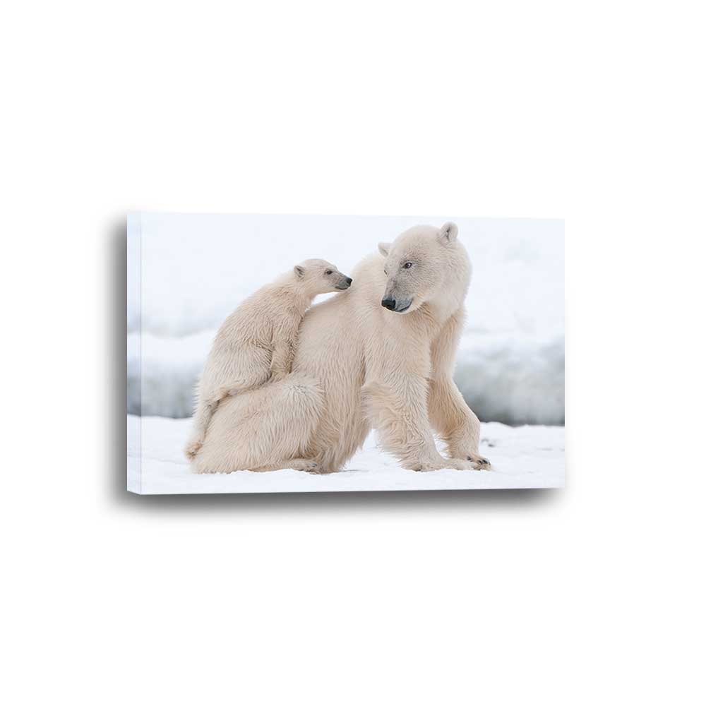 Artic Bond: Polar Bear Family Collection - Framed Canvas Home Decor Wall Art Multiple Choices 1 3 4 5 Panels
