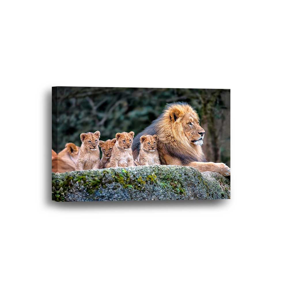 Pride's Legacy: Lion Family Collection - Framed Canvas Home Decor Wall Art Multiple Choices 1 3 4 5 Panels