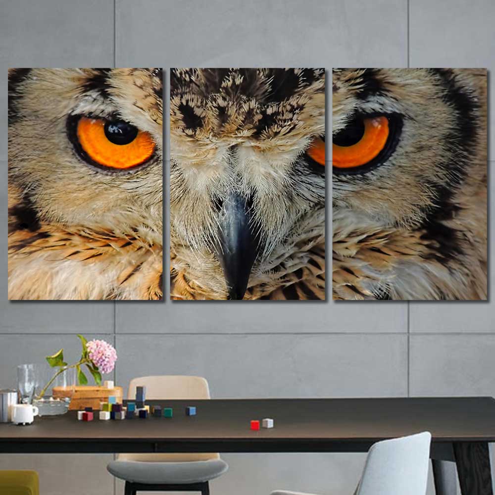 Amber Eyes: Owl Legacy Series - Framed Canvas Home Decor Wall Art Multiple Choices 1 3 4 5 Panels