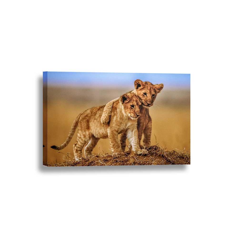 Pride of the Plains - Framed Canvas Home Decor Wall Art Multiple Choices 1 3 4 5 Panels