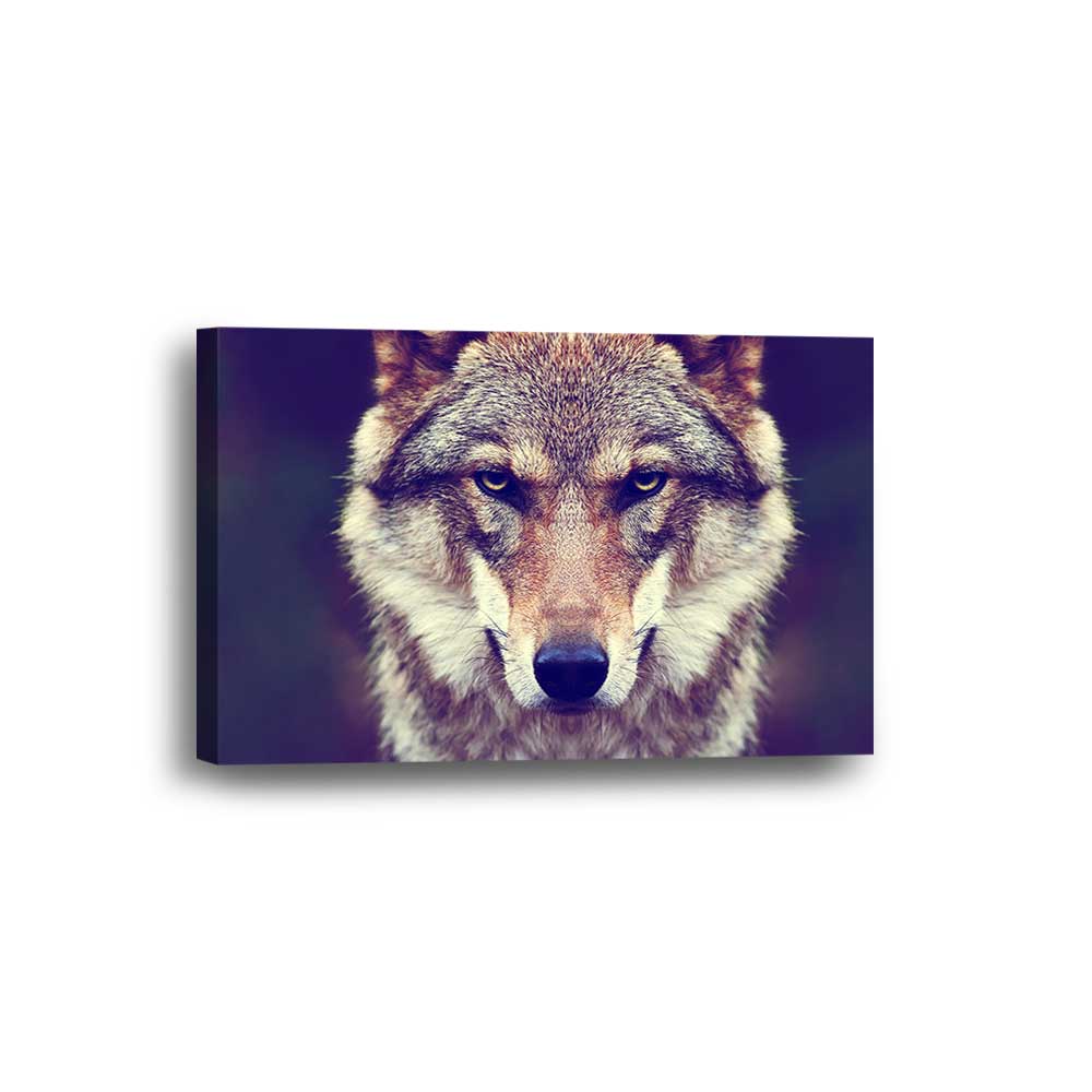 Wild Eyes: Grey Wolf Legacy Collection - Framed Canvas Home Decor Wall Art Multiple Choices 1 3 4 5 Panels