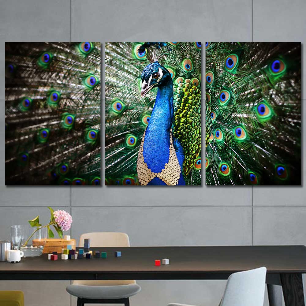Royal Plumage: Peacock Portrait Collection - Framed Canvas Home Decor Wall Art Multiple Choices 1 3 4 5 Panels