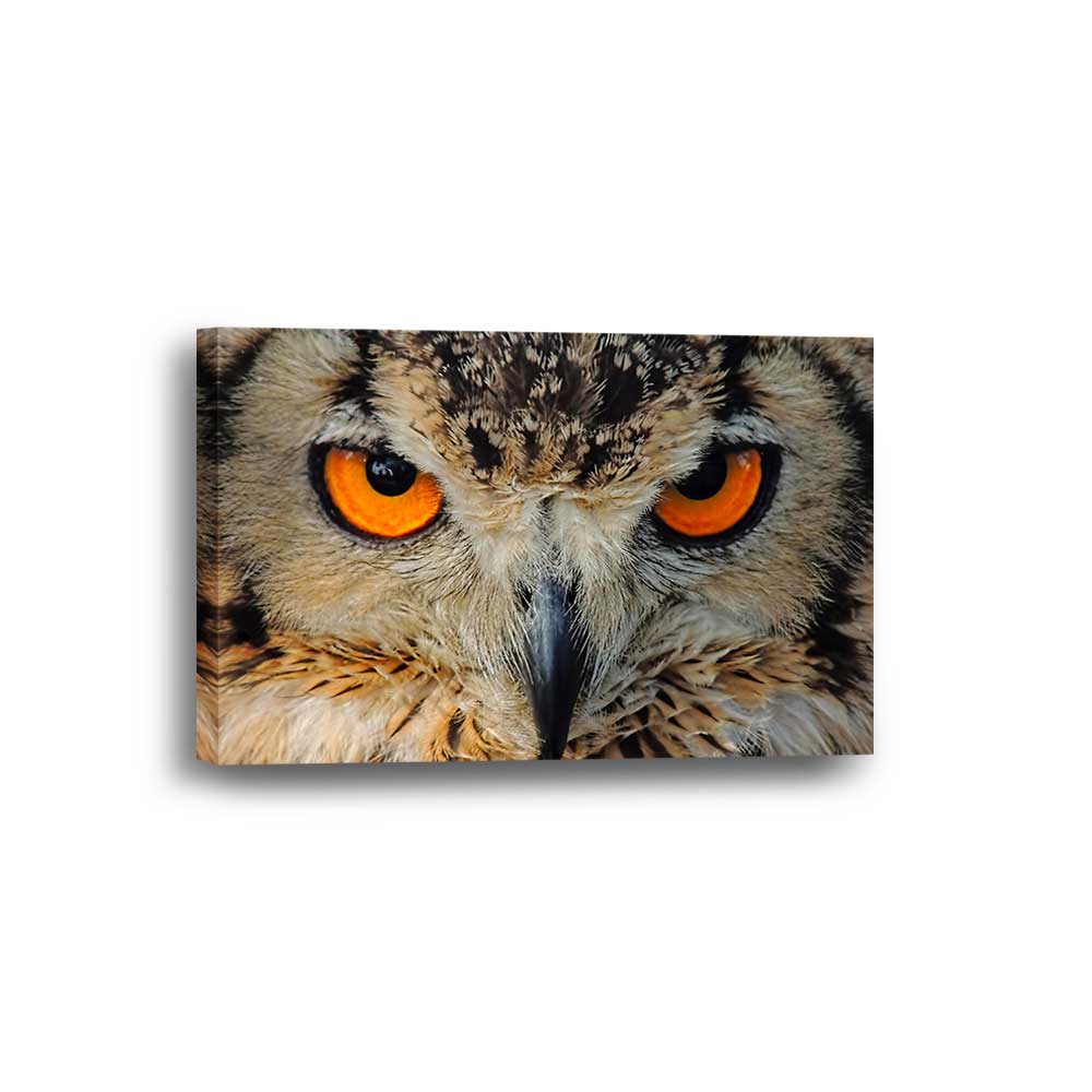 Amber Eyes: Owl Legacy Series - Framed Canvas Home Decor Wall Art Multiple Choices 1 3 4 5 Panels