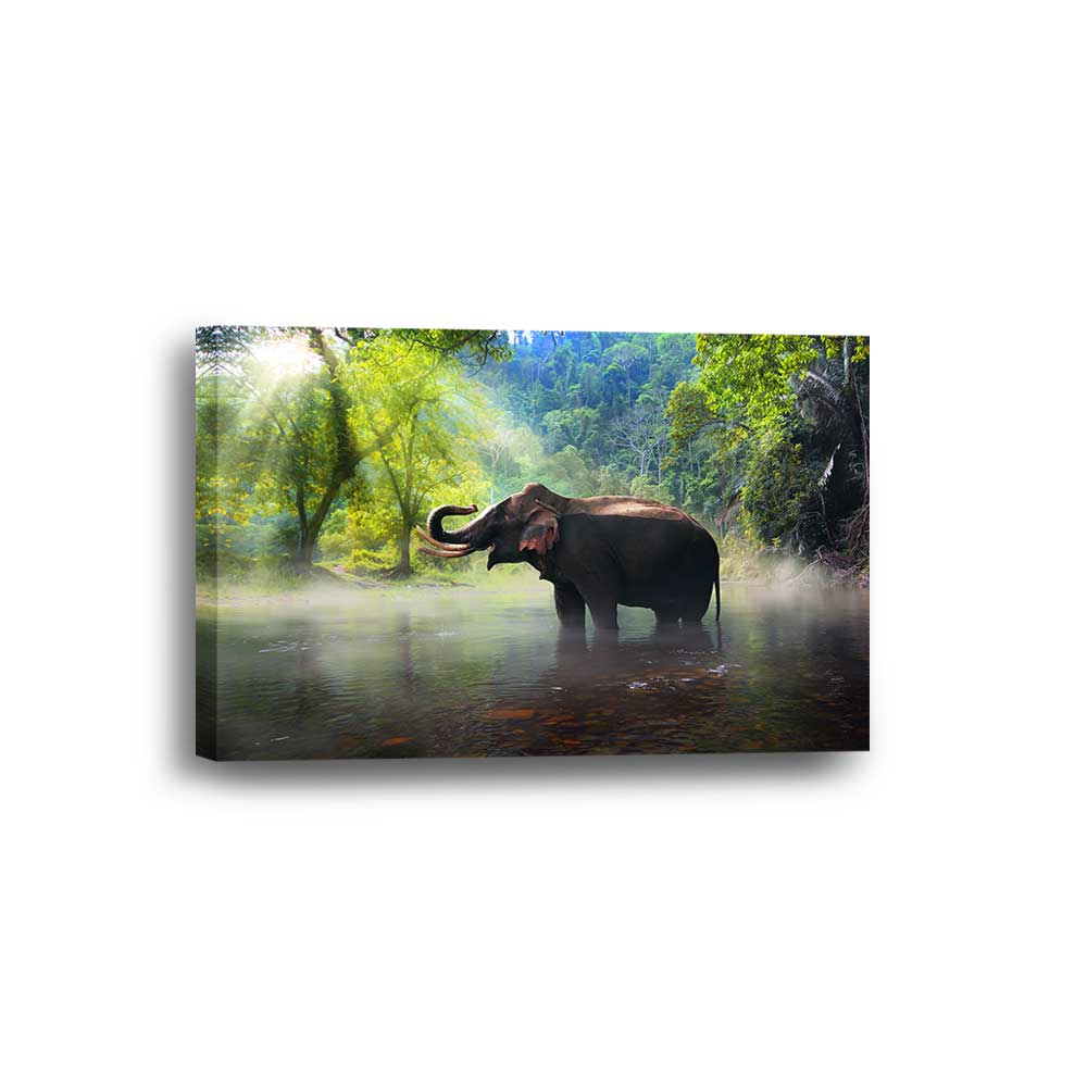 Misty Waters: Asian Elephant Collection - Framed Canvas Home Decor Wall Art Multiple Choices 1 3 4 5 Panels
