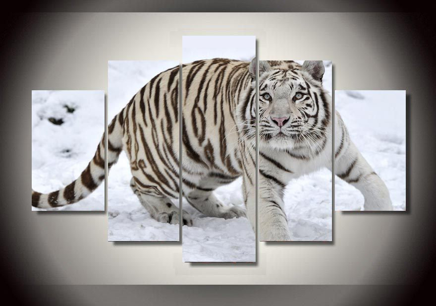 Large White Tiger in Snow